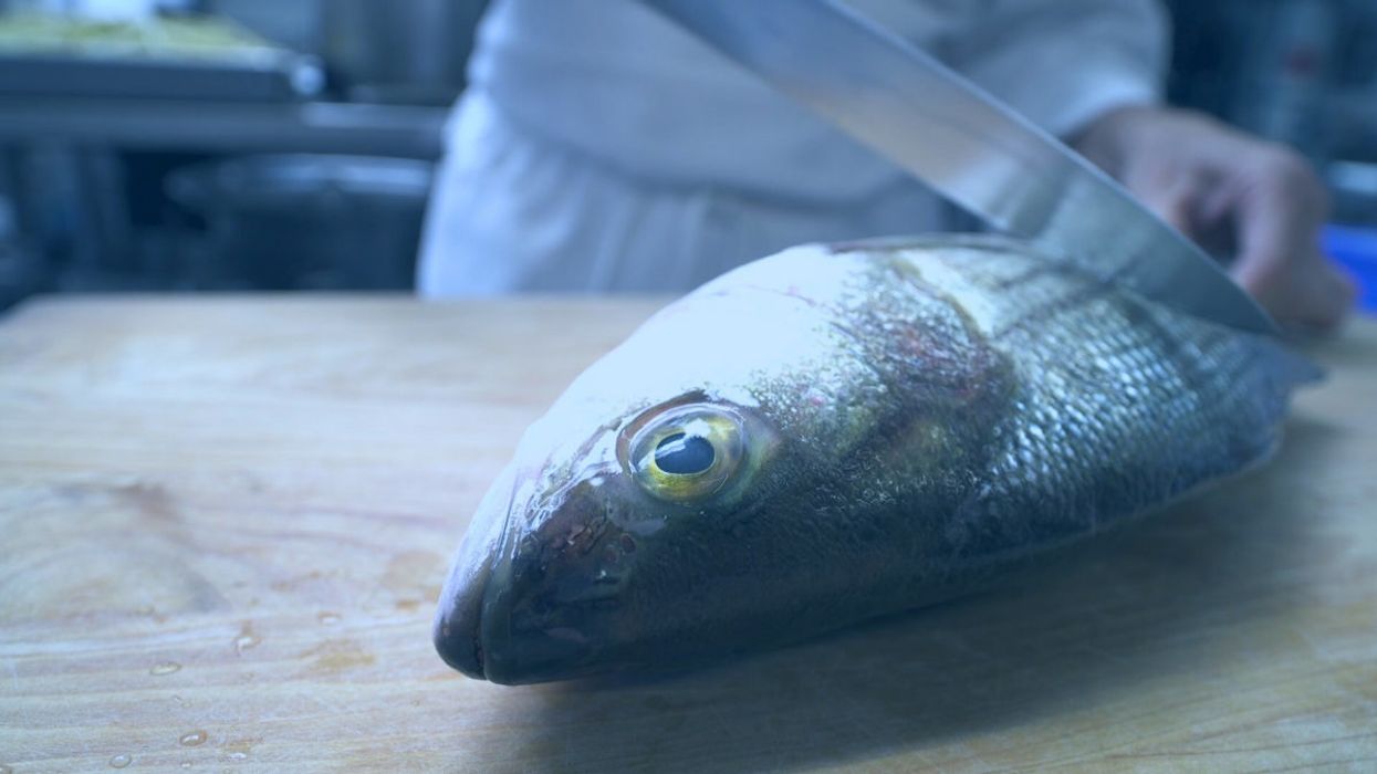 Forget Farm-to-Table: Lab-to-Table Fresh Fish Is Making Waves