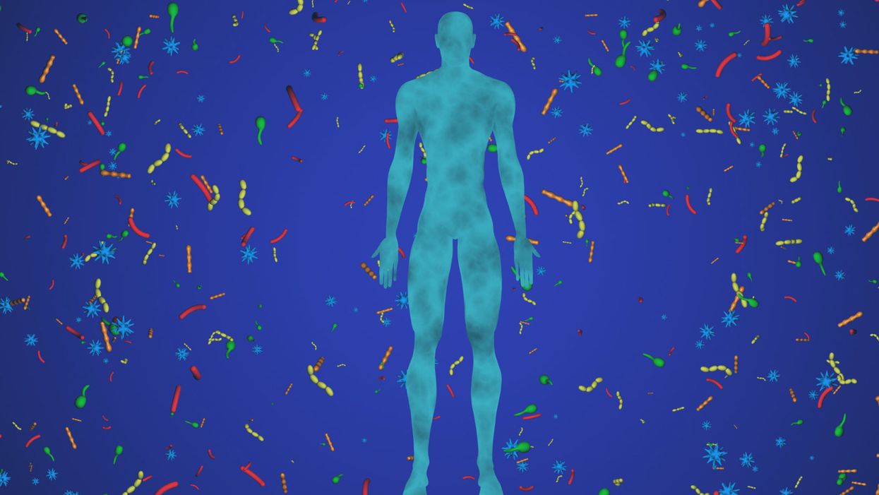 The Top Five Mysteries of the Human Gut Microbiome