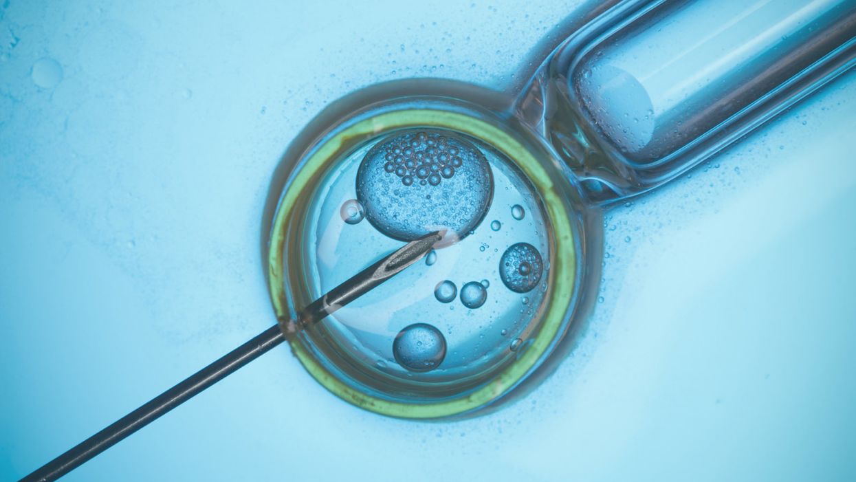 Top Fertility Doctor: Artificially Created Sperm and Eggs "Will Become Normal" One Day