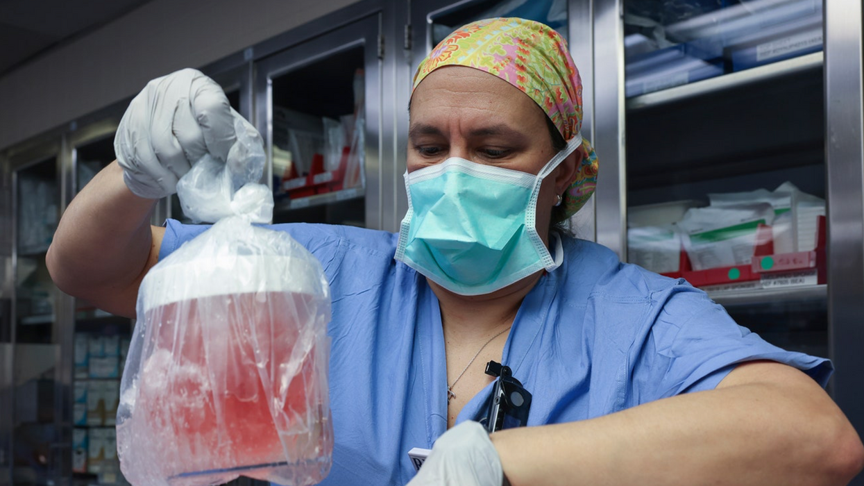 MILESTONE: Doctors have transplanted a pig organ into a human for the first time in history