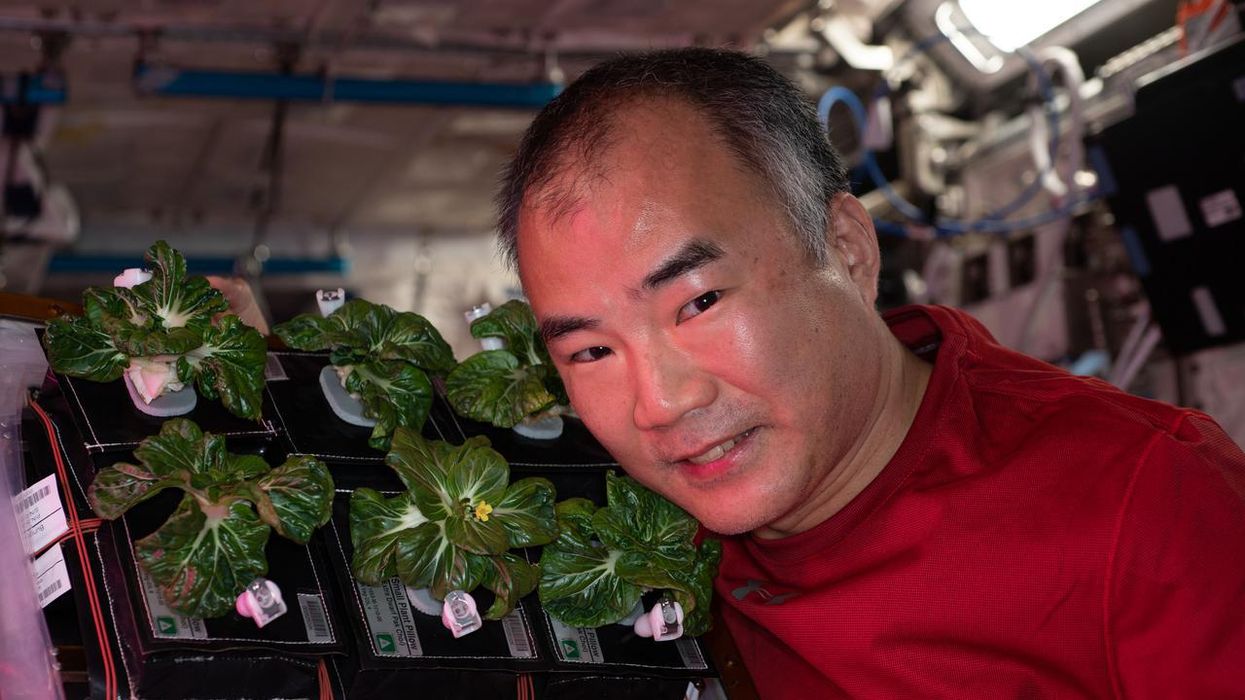 Scientists Are Devising Clever Solutions to Feed Astronauts on Mars Space Flights