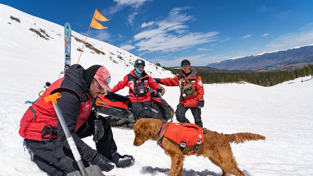 Tech and the science of dogs’ olfactory receptors combat avalanche threats