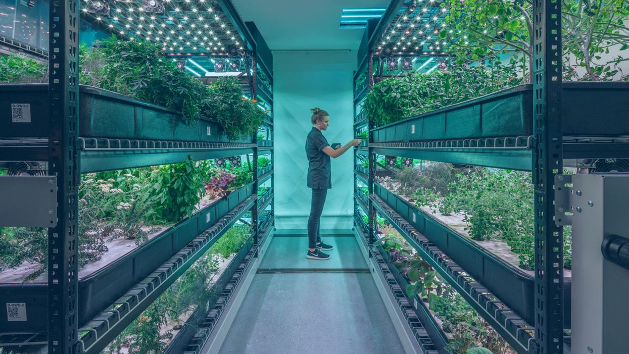 No E. Coli in This Lettuce: Tour the World’s Most Innovative Urban Farms