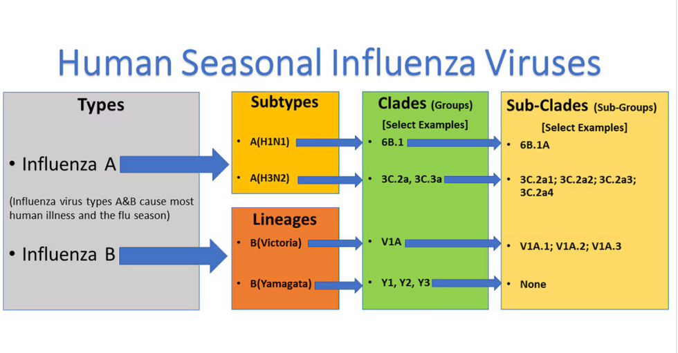 The flu shot looks different this year, thanks to the pandemic ...