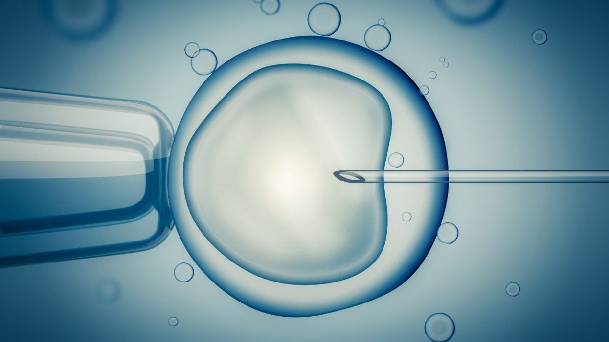 Just Say No to Editing Human Embryos for Reproduction