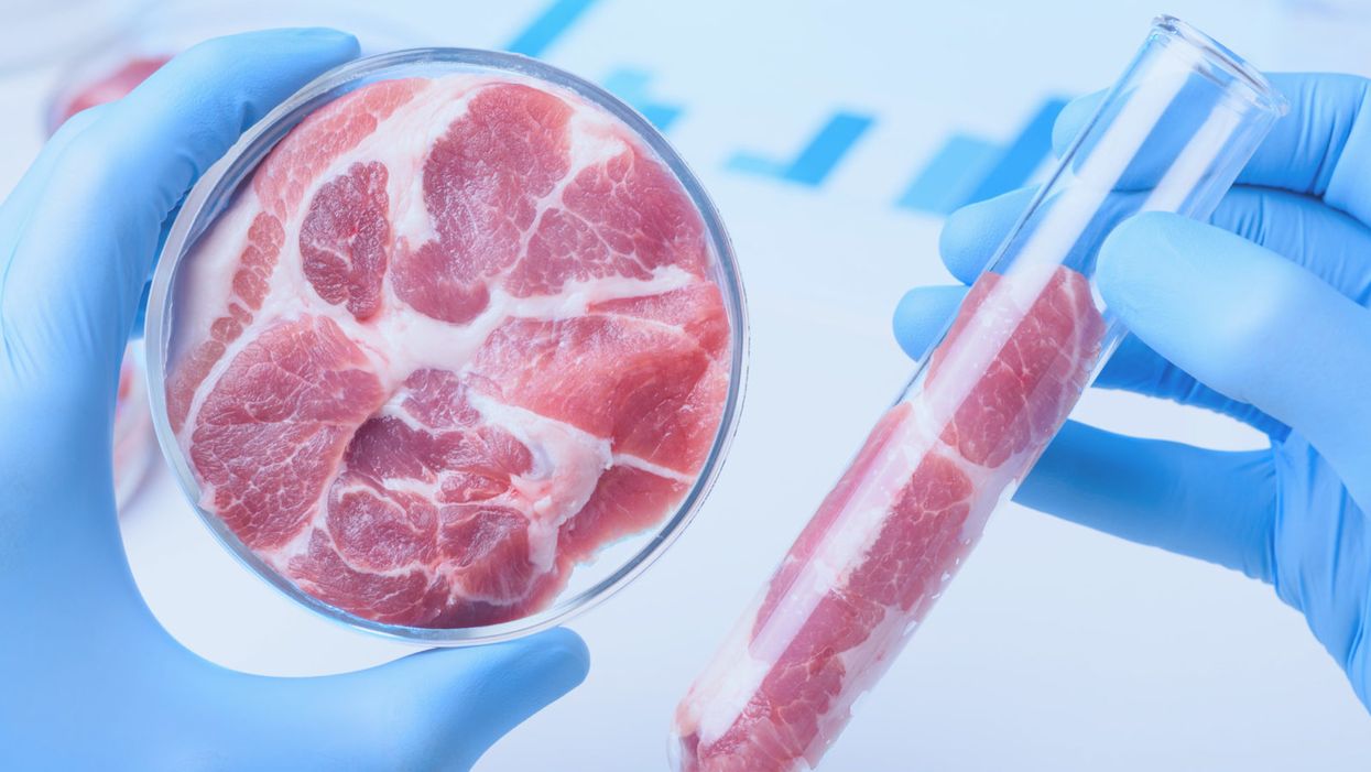 Can Cultured Meat Save the Planet?