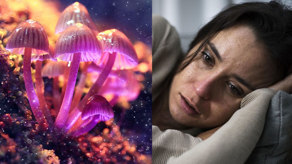Researchers Are Experimenting With Magic Mushrooms' Fascinating Ability to Improve Mental Health Disorders