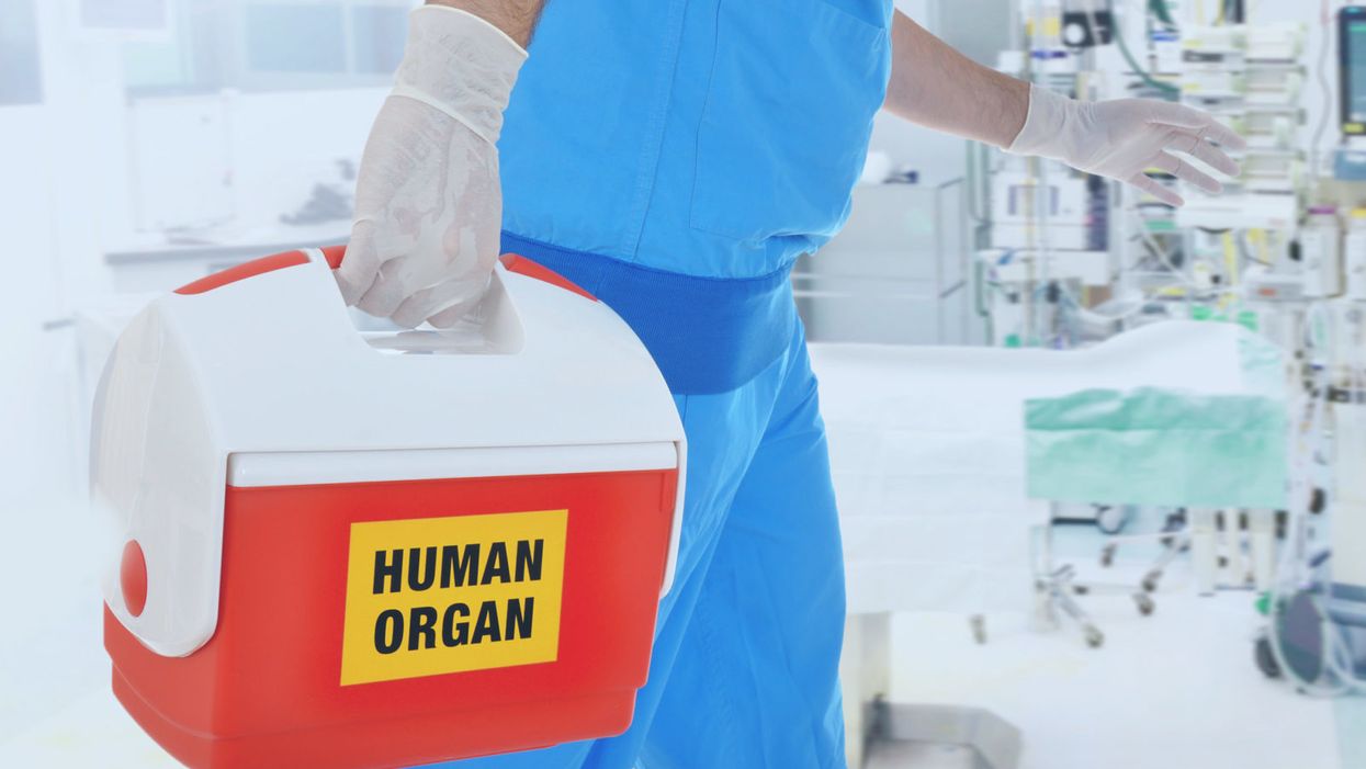 Genital Transplants: Is Science Going Too Far, Too Fast?