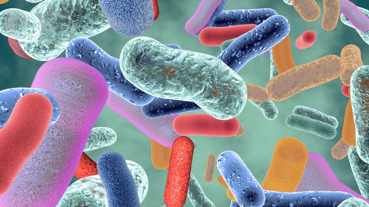Scientists redesign bacteria to tackle the antibiotic resistance crisis