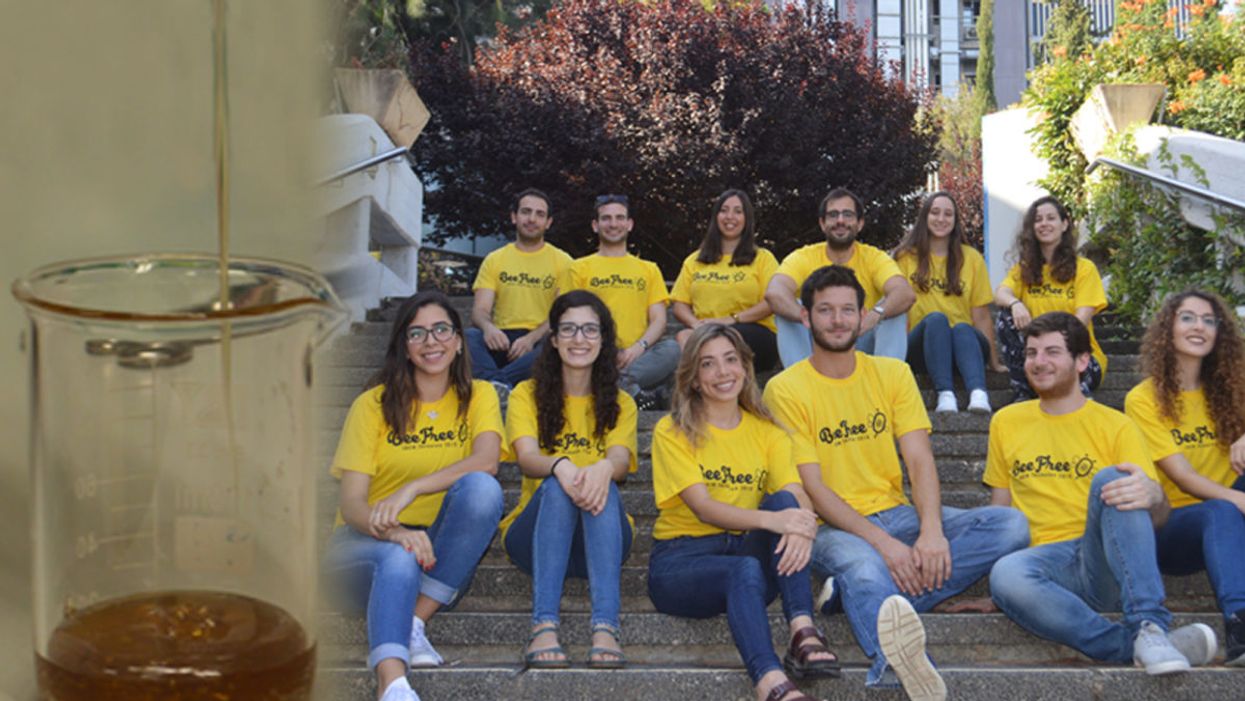 A Team of Israeli Students Just Created Honey Without Bees