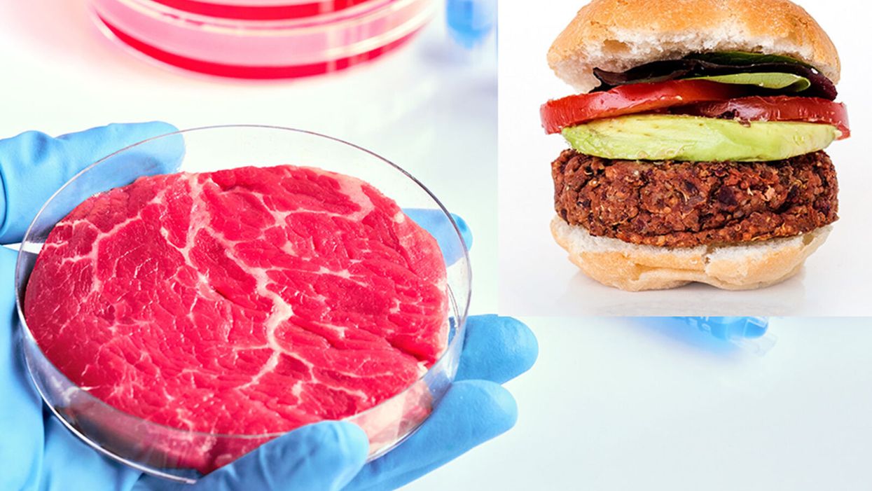 Meat Shortages Are Here to Stay. Is Lab-Grown Food a Solution?